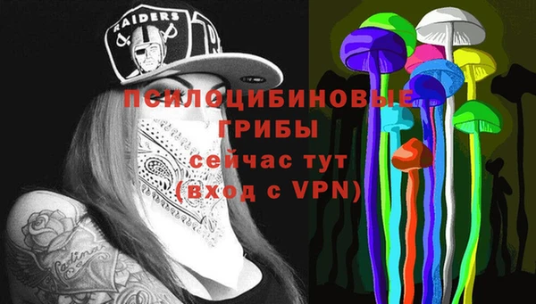 марки lsd Пересвет